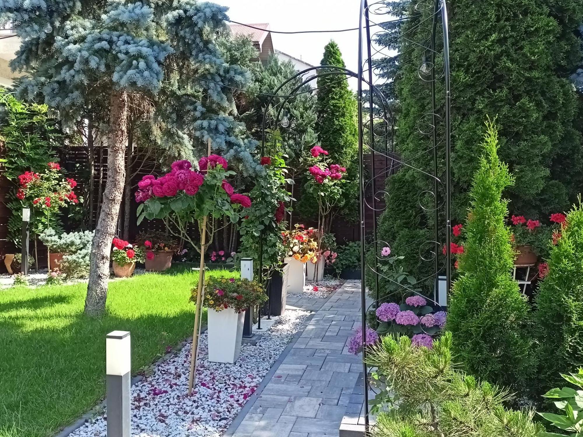 Pokoje Hotelowe Nad Zalewem Siedlce Esterno foto